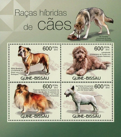 Hybrid Dogs Stamp Boxer Bulldog Bull Terrier Shetland Labradoodle S/S MNH #5867 Cover