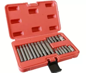 SET CASSETTA ATTREZZI CHIAVI A BUSSOLA TORX MASCHIO RIBE 21 PEZZI - Foto 1 di 4