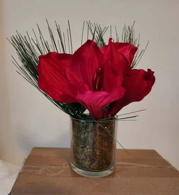 Pottery Barn Amaryllis y Piña Navidad Floral  Foto 1 de 4