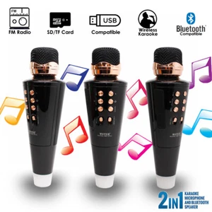 Pro Wireless Handheld KTV Karaoke Mic & Speaker w/ LED Light, FM, AUX, USB - Picture 1 of 6
