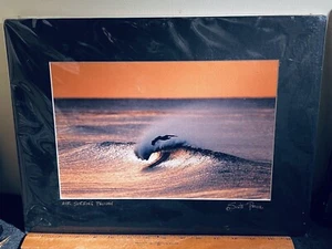 Signed SCOTT PRICE print “Air Surfing Pelican” - Picture 1 of 5