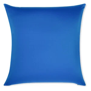 20" x 20" Throw Pillow Cozy Soft Microbead Yeal Blue: 1 Pc - Picture 1 of 7