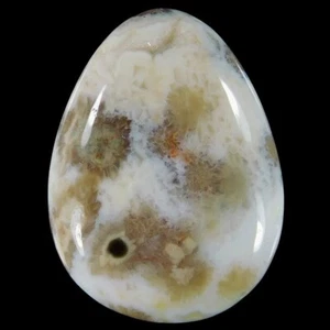 Ozeanjaspis 32x24x7 mm Cabochon CAB EN152256 - Bild 1 von 2