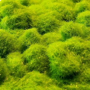 5mm Green Winter Grass Flock - Scenery Ground Cover for Models & Miniatures - Picture 1 of 3