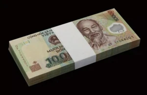 10000 Dong Bundle Lot 100 Notes Vietnam Curency 2003-2023 P-119 UNC - Best Price - Picture 1 of 15