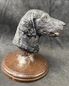 VINTAGE FLAT COATED RETRIEVER  HEAD STUDY By Victor Griffiths Flat Coat - Picture 1 of 7