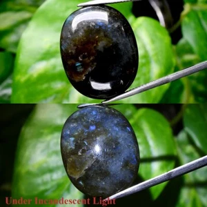 Big! 36.95ct Cushion Cabochon Natural Rainbow With Luster Labradorite Gemstone - Picture 1 of 6