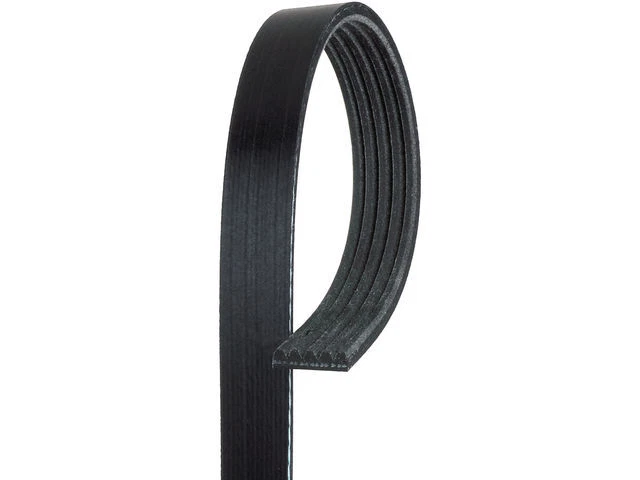 Cinturón multi costilla para Saturn L200 2001-2003 AC Delco 22551BX 2002 2,2 L 4 cilindros GAS Foto 1 de 2