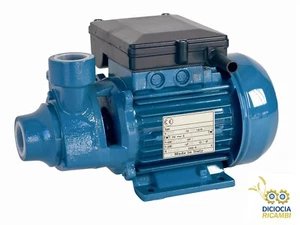 Elettropompa Autoclave Pompa 0.5HP 40lt/min Motore Acqua Pozzo 230V - Foto 1 di 1