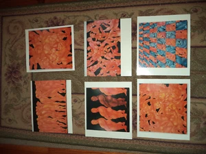 6er Set Hochglanzdrucke von Giuseppe Annese - Bild 1 von 7