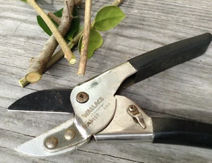 Vintage Wallace Fiskars P15T steel anvil cut hand pruner garden snips shears USA - Picture 1 of 9