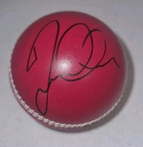 David Warner Australian Cricket Signed Leather Cricket Ball - Picture 1 of 5