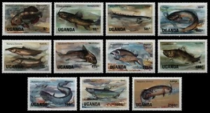 Uganda 1985 - Mi-N.o 412-422 ** - Estampillada sin montar o nunca montada - Peces/Peces - Imagen 1 de 1