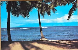 Postal de palmeras de Maui Hawaii Flemings Beach Kapalua Bay c1970 - Imagen 1 de 5