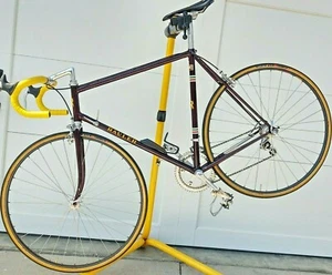 RAULER Vintage Italian Steel Road Bike COLUMBUS Super Record Gruppo  - Picture 1 of 12