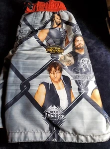 Boy Size 8 WWE Swim Trunks Shorts 2018 Wrestling Elastic Waist Graphic Good Cond - Picture 1 of 6