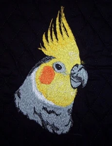 Auction for your cage, Ziggy! - Picture 1 of 1