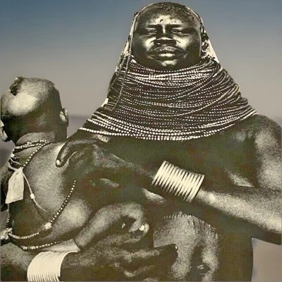 Vanishing Africa Mirella Ricciardi Illustrated Book MCM Coffee Table Decor VTG - Image 1 of 4