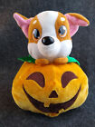Chihuahua Dog avec peluche animal en peluche citrouille jouets idéaux direct Halloween  