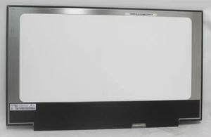 18010-17352000 Asus Lcd 17.3 2560X1440 Qhd Flat 240Hz Br Led V8.1"GRADE A" - Afbeelding 1 van 1