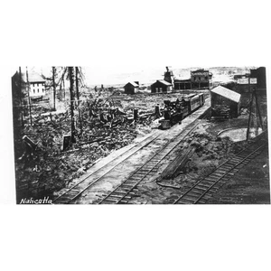 Cartolina foto reale veduta del treno e dei binari a Nahcotta, WA. Y2 - Foto 1 di 2