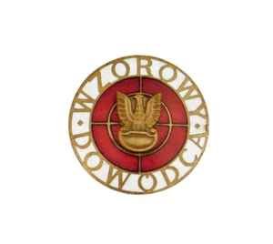 170 SEGUNDA GUERRA MUNDIAL PULIDO PERFECTO COMANDANTE INSIGNIA POLONIA - Imagen 1 de 2