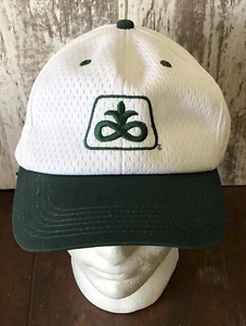 Vintage 75th Anniversary Pioneer Seed Snap Back Hat Cap Farming Agriculture Corn - Picture 1 of 7