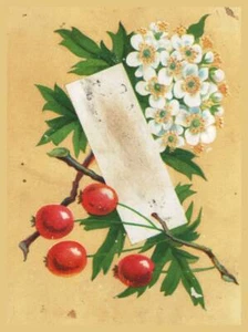 Antike G.M. Miller Kleidung Einrichtung Hüte Kappen Kilt Anzüge Mansfield, Ohio - Bild 1 von 2