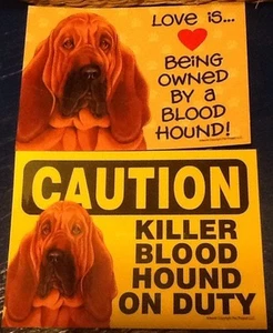 2 Blood Hound Love/Caution Laminated Picture Sign / magnet - Picture 1 of 2