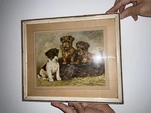 Vintage Mabel Gear gerahmtes Bild drei Terrier Welpen - Bild 1 von 4