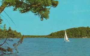Eagle Lake Eagle River Wisconsin Chrome postcard Sailboat on Lake. - Picture 1 of 4