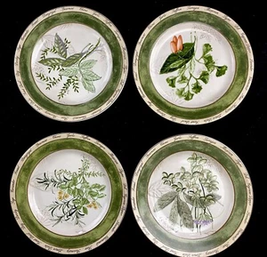 8 BOUQUET GARNI American Atelier 8" Lunch Plates 4 Patterns EUC - Picture 1 of 4