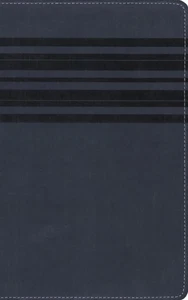 NIrV, Holy Bible, Large Print, Leathersoft, Blue by Zondervan Pub - Bild 1 von 1