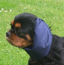 Cavalier King Charles Spaniel Banded Head Snood (water repellent fabric)