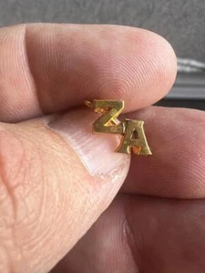 Pin protector de capítulo tono dorado Zeta Alpha Fraternity Hermandad (i2023i) - Imagen 1 de 3