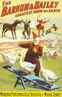Vintage Barnum & Bailey Circus Advertising A3 Poster Print