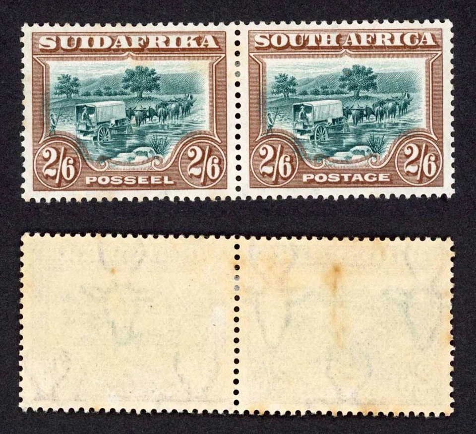 Sudáfrica SG37 2/6 Perf 14 M/M (tonificado) gato 150 libras Foto 1 de 1