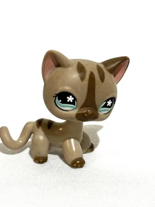 Difícil de encontrar Littlest Pet Shop gato pelo corto #468 ojos de estrella azul LPS AUTÉNTICO - Imagen 1 de 7