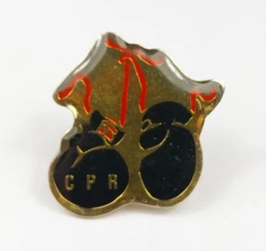 Pin's Pins Boxe CPR Club Pugilistique Rochelais La Rochelle France - Imagen 1 de 2