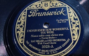 Ray Miller 78rpm Single 10-inch Brunswick Records #3028 I Never Knew How... - Imagen 1 de 4