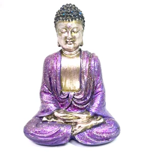 Asian Tibetan Buddha 6" Purple Resin Medidate Medicine Shakyamuni Figurine Decor - Picture 1 of 9