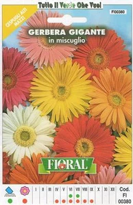 GERBERA GIGANTE IN MISCUGLIO - CESPUGLI ALTI MAZZI-FLORAL - BUSTA SEMENTI - Imagen 1 de 1