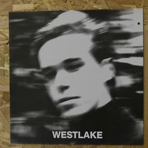 MNLP DAVID WESTLAKE WESTLAKE VINYL INDIE LUKE HAINES THE AUTEURS THE TRIFFIDS - Bild 1 von 1