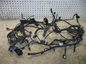 HD HARLEY 2021 21 24 SOFTAIL FXBBS STREET BOB 114 WIRING WIRE LOOM HARNESS OEM - Picture 1 of 23