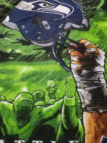 NFL Seattle Seahawks Blanket Cover