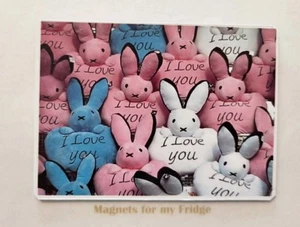 Bunny Love 'I Love You' Fridge Magnet - M4 F - Picture 1 of 1