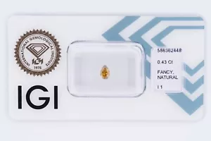 Fancy Diamond Int. Greenish Brownish Yellow 0.43ct. - I1 - IGI certificate - Picture 1 of 5