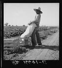 Imperial Valley,California,Ca,Farm Security Administration,May 1937,Fsa