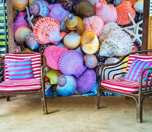 3D Color Shells S1320 Wallpaper Mural Self-adhesive Removable Sticker Kids Pa - Picture 1 of 11