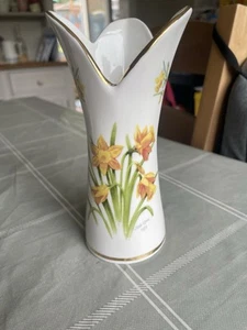Tenby Daffodil Vase By Jean Evans - Picture 1 of 1